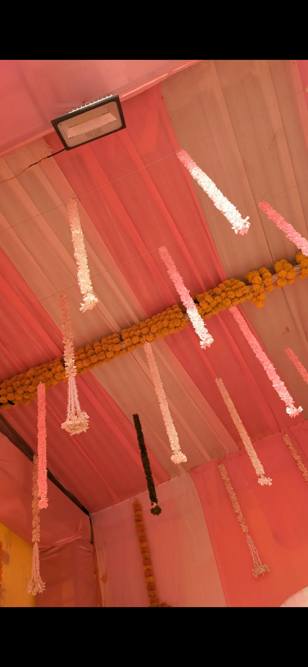 Festival Celebration  Decoration — festival-theme-159