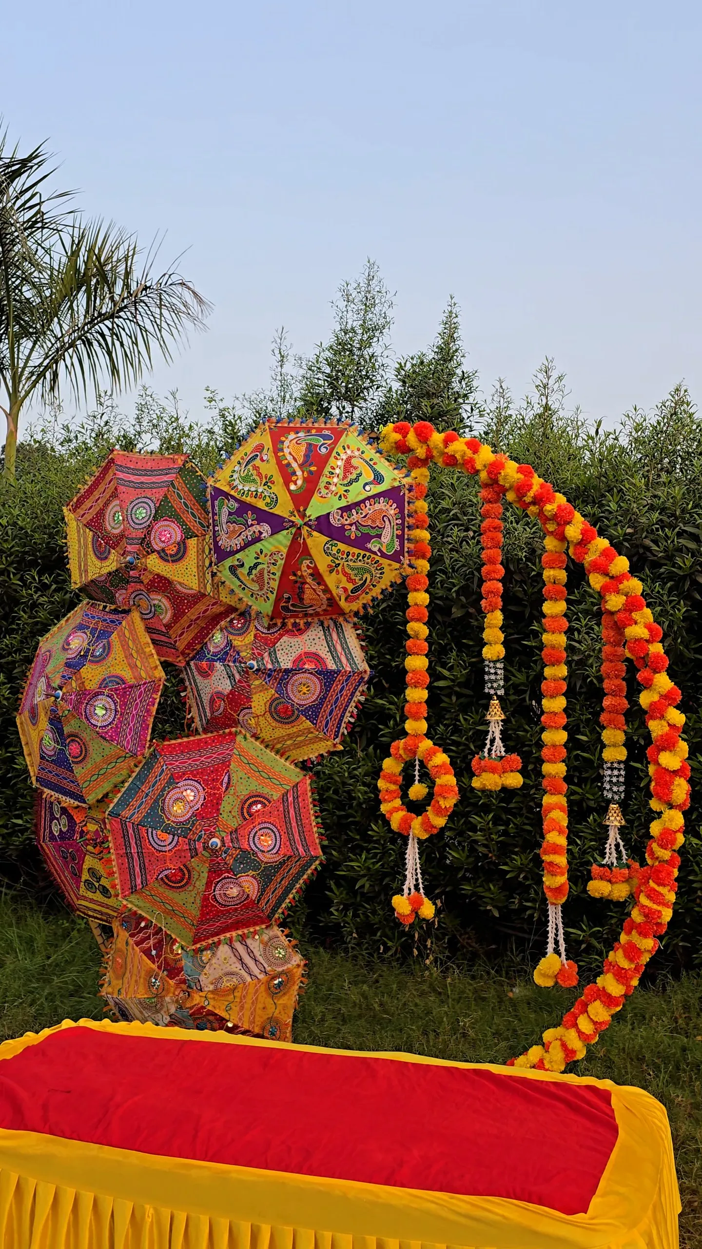 Haldi Carnival — carnival-theme-107