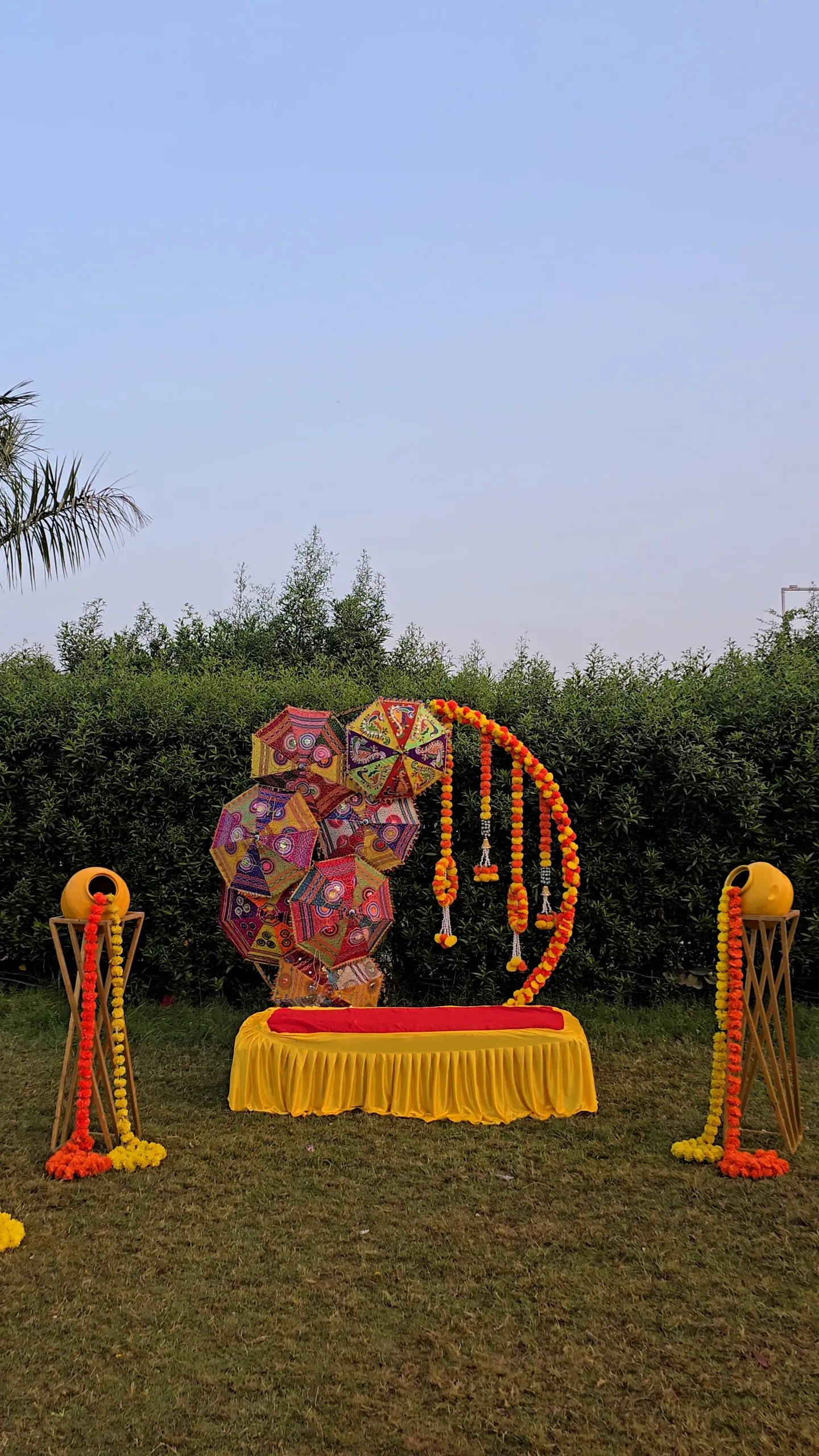 Haldi Carnival — carnival-theme-107