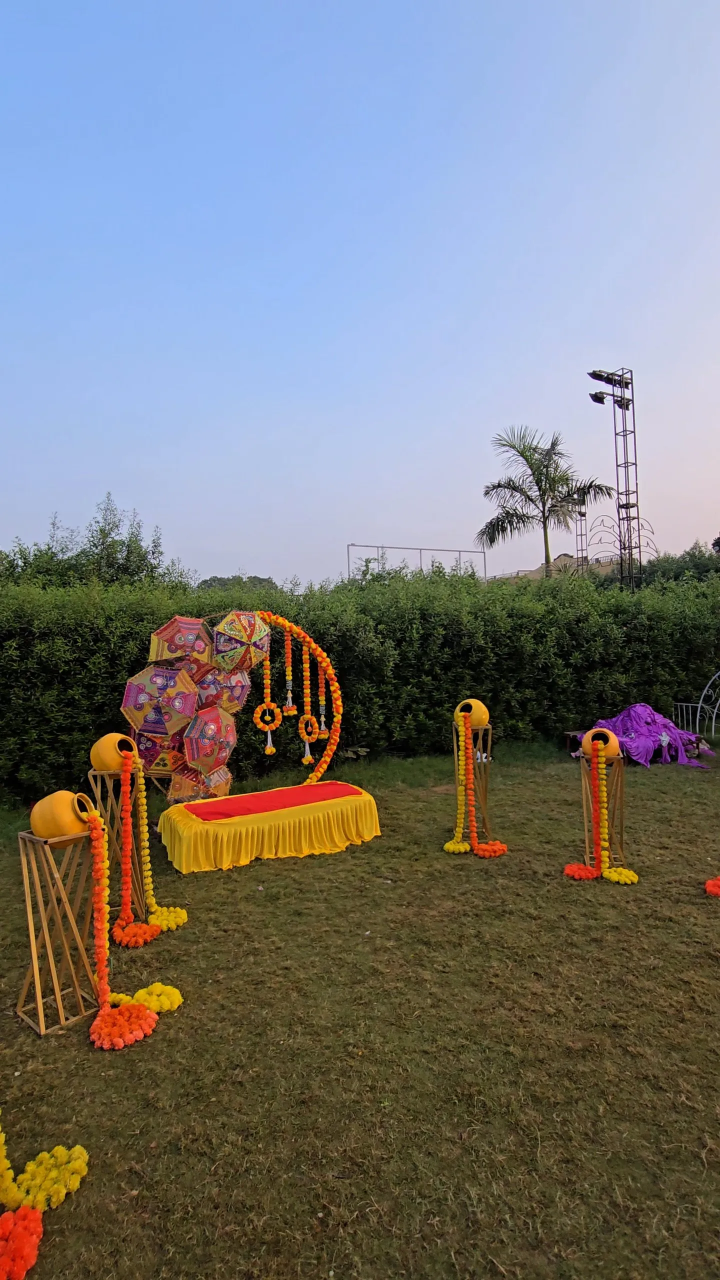 Haldi Carnival — carnival-theme-107