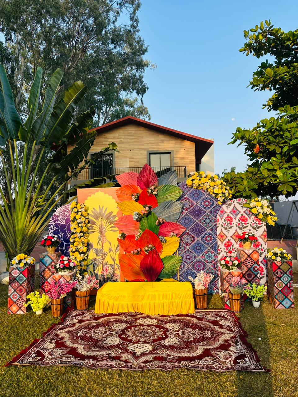 Haldi Carnival — carnival-theme-23