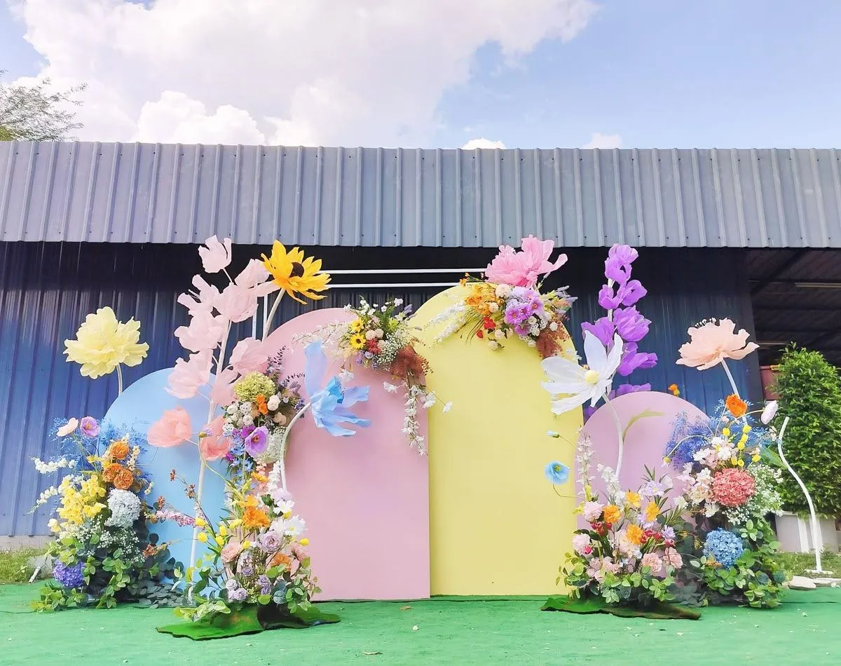 Haldi Carnival — carnival-theme-39
