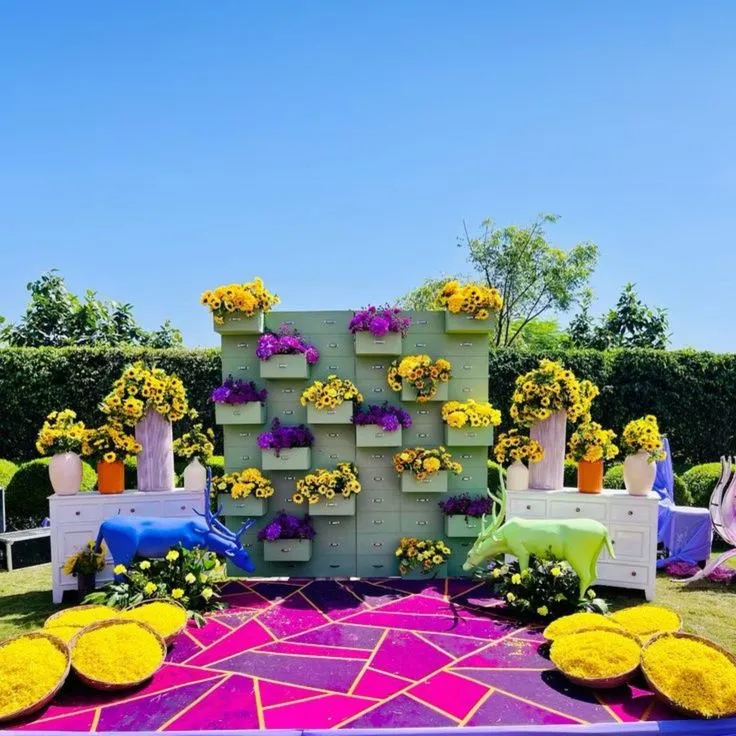 Haldi Carnival — carnival-theme-79