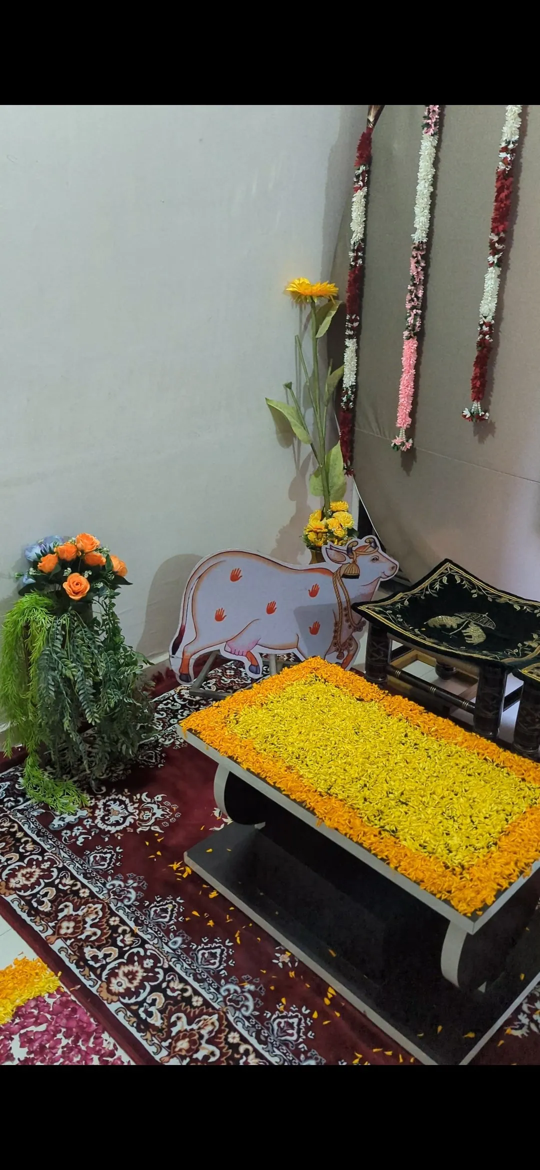 Panch Masi — panch-theme-24