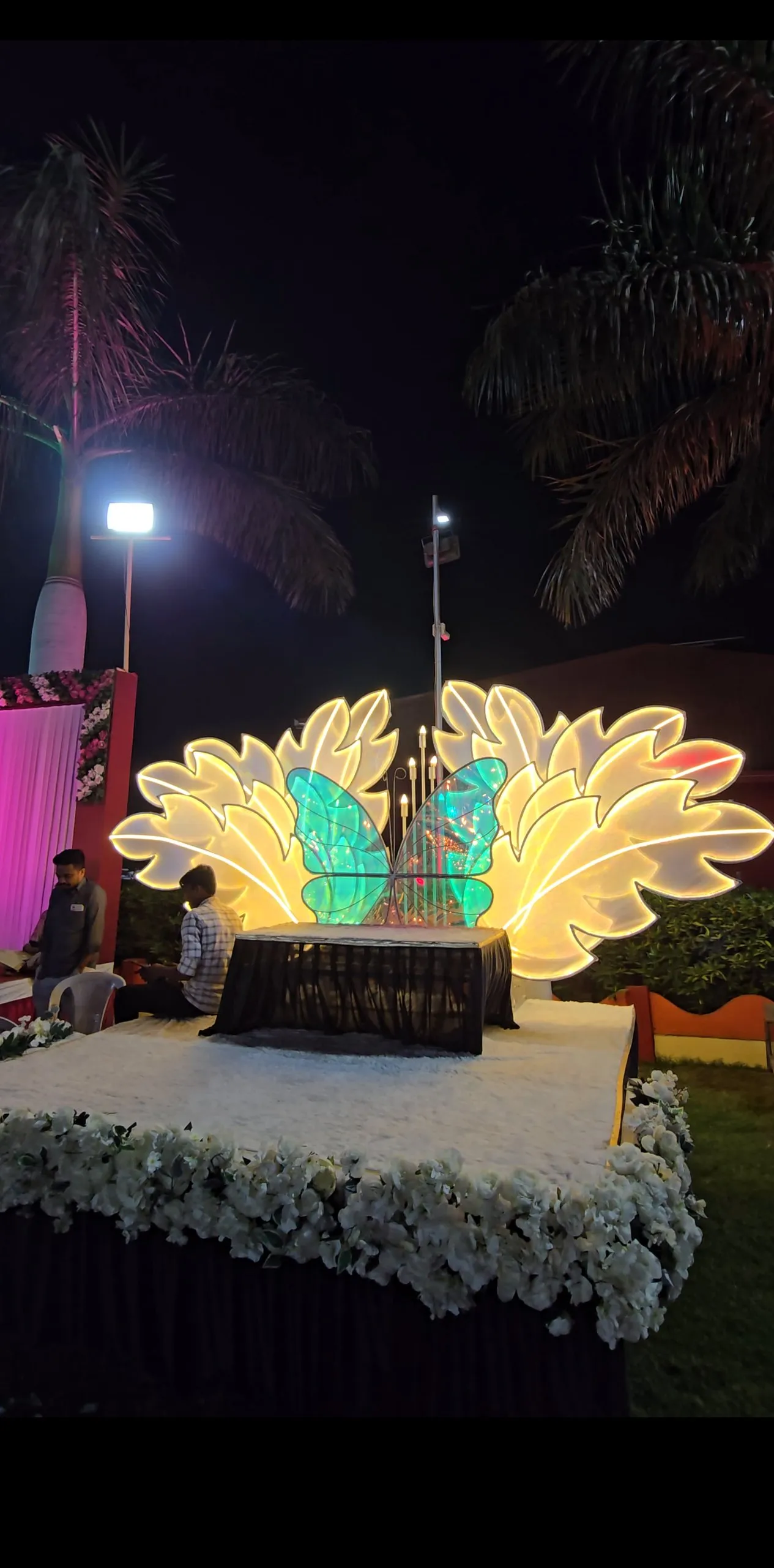 Sangeet ( Ras Garba ) Entry — sangeet-theme-29